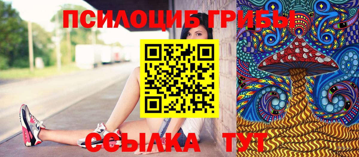 Галлюциногенные грибы MAGIC MUSHROOMS  Псилоцибиновые грибы Magic Shrooms  Вход с VPN  купить наркотики цена  Ишимбай 